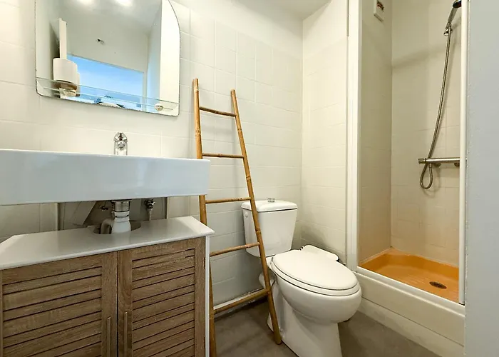 La Rose Des Vents - - Arago - Vue *